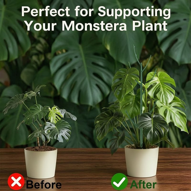 🔥Adjustable Plant Support Stakes – Easy Climbing Support for Indoor & Outdoor Plants