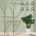 🔥Adjustable Plant Support Stakes – Easy Climbing Support for Indoor & Outdoor Plants