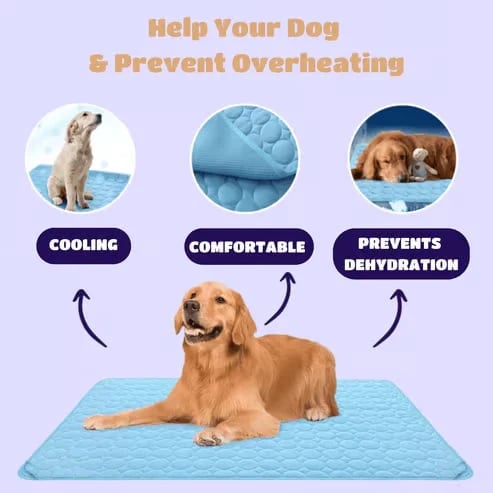⏳🔥NUR FÜR BEGRENZTE ZEIT: ! 🐶 Kühlmatte für Hunde – 4-mal effektivere Kühlung für heiße Sommertage ❄️✨