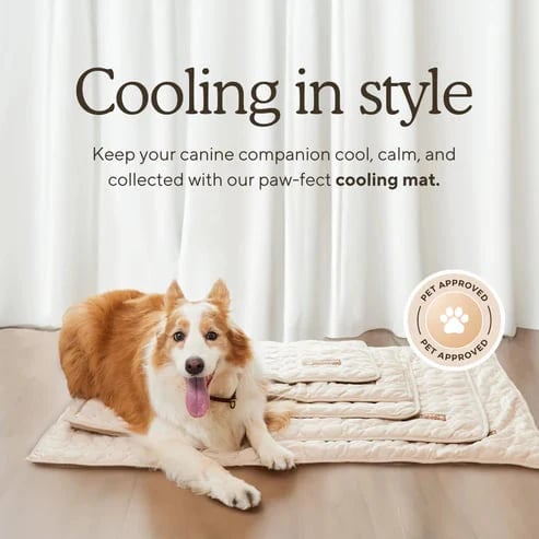 ⏳🔥NUR FÜR BEGRENZTE ZEIT: ! 🐶 Kühlmatte für Hunde – 4-mal effektivere Kühlung für heiße Sommertage ❄️✨