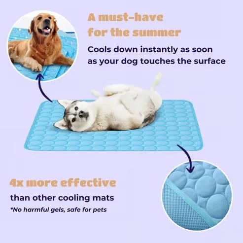 ⏳🔥NUR FÜR BEGRENZTE ZEIT: ! 🐶 Kühlmatte für Hunde – 4-mal effektivere Kühlung für heiße Sommertage ❄️✨