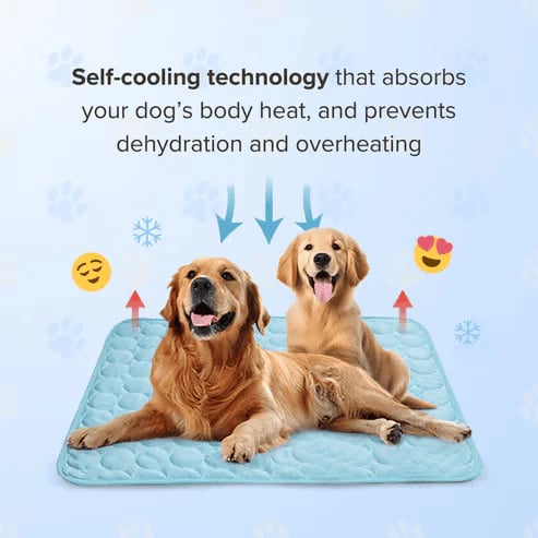 ⏳🔥NUR FÜR BEGRENZTE ZEIT: ! 🐶 Kühlmatte für Hunde – 4-mal effektivere Kühlung für heiße Sommertage ❄️✨